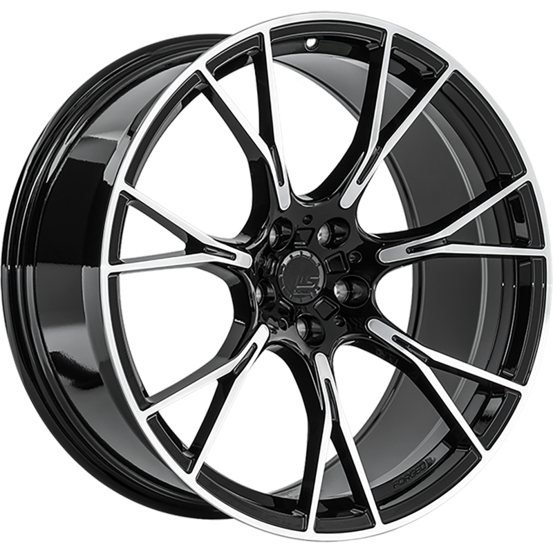 LS Forged LS FG66
